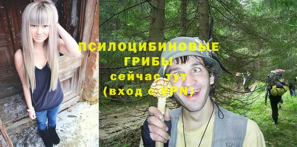 дурь Верхний Тагил