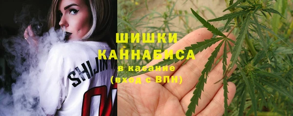 дурь Верхний Тагил